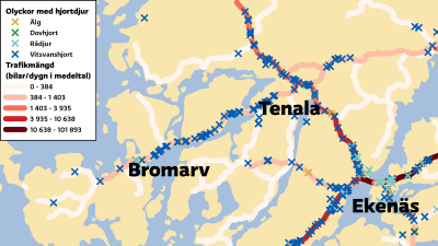 Karta över hjortolyckor och trafikmängder mellan Bromarv och Ekenäs