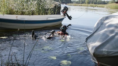 Dykare som sätter på grodfötterna i vattnet i en småbåtshamn