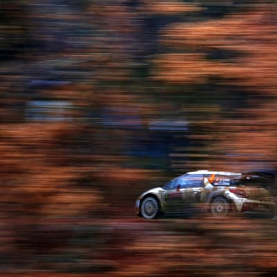 Sebastien Loeb i Monte Carlo 2015