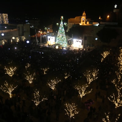 Julgran i Betlehem på Västbanken i Israel