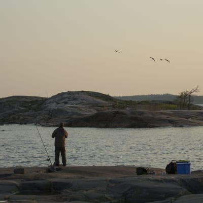 Friluftsområdet Kopparnäs-Störsvik. 