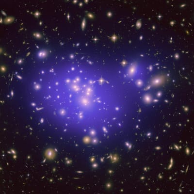 Galaxgruppen Abell 1689