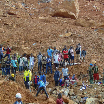 Räddningsarbetare söker efter överlevande efter ett lerskred i Sierra Leone.