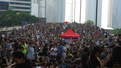 Kravet på att bara patrioter får styra Hongkong antas utesluta alla dem som har deltagit i demonstrationer mot kommunistpartiet. Mer än hälften av invånarna har stött demonstranterna.