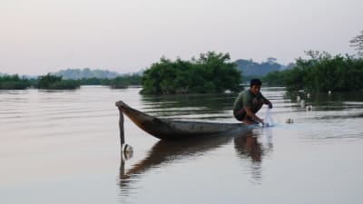 Största delen av dem som bor vid Mekong fiskar aktivt. Utan proteinet från fiskarna skulle miljontals människor ha svårt att klara sig.