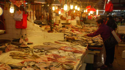  Utbudet av fisk är nuförtiden imponerande på marknaderna i Kina. Vissa fiskarter kostar skjortan.