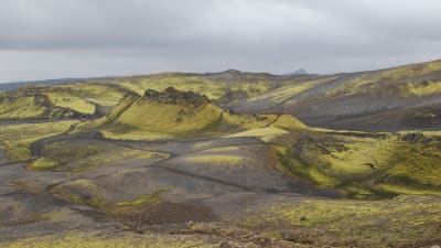 Laki-vulkanen på Island.