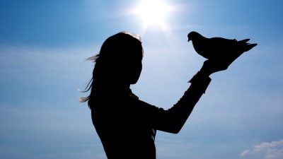 Silhuettimainen kuva, jossa nainen pitää kädellään lintua. Taustalla sininen taivas ja kirkkaasti paistava aurinko.