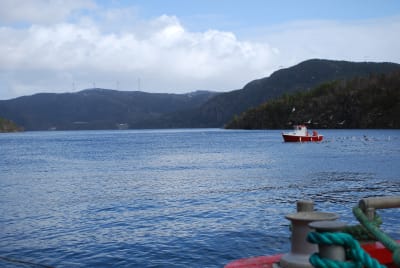 Fyra vindkraftverk uppe på ett fjäll och en liten fiskebåt i fjorden nedanför.