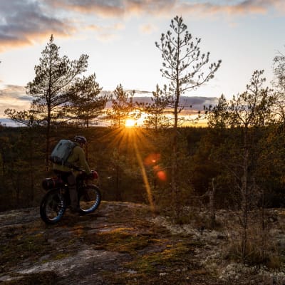 Terrängcykling skogen då solen sjunker i horisonten.