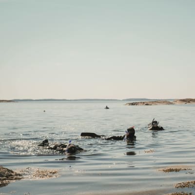 Lukiolaiset snorklailevat Dalskär-saarella vedenalaisella veistospolulla.