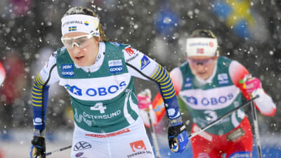 Ebba Andersson åker skidor.