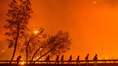 Brandkåren jobbar med att släcka skogsbranden i Clearlake, Kalifornien den 2 augusti.