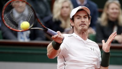 Andy Murray till semifinal i Paris.