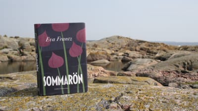 Eva Frantz debutroman Sommarön på några klippor i skärgården.