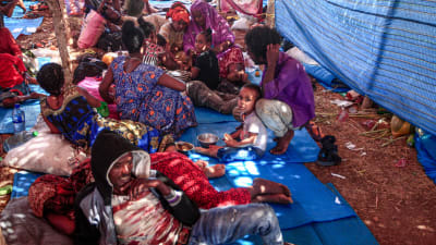 Etiopier som flyr kriget i regionen Tigray. Flyktinglägret Um Rakuba i Sudan 16.11.2020 