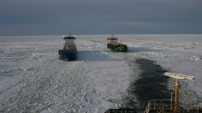 Svenska isbrytaren Frej assisterar fartyg i Kvarken.