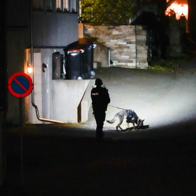 poliisi ja koira tutkivat rikospaikkaa liittyen hyökkäykseen jousella.