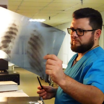 En läkare studerar en röntgenbild