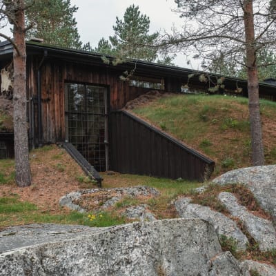 Träbyggnad som är delvis inbyggd i en slänt så att marken fortsätter över taket.