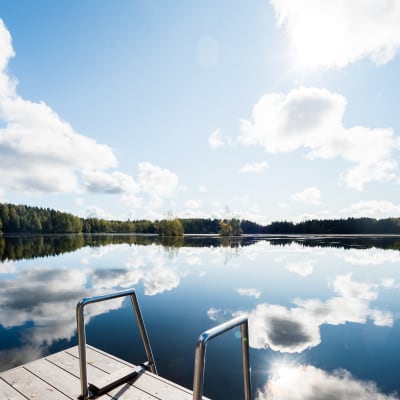 En brygga i solsken.