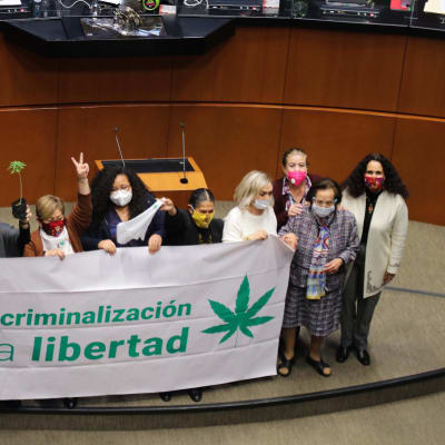 "Nej till kriminalisering, ja till frihet".Senatorer firar lagen som ska tillåta marihuana. 19.11.2020
