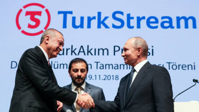 Putin och Erdogan skakar hand under en ceremoni för gasrörprojektet