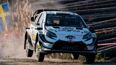 Jari-Matti Latvala kör bredvid en stock ohch Sveriges flagga.