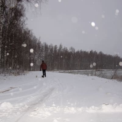 Snön yr vid Metviken i Vasa.