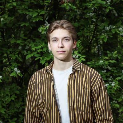 Olavi Angervo seisoo kotipihallaan tuomen edessä.
