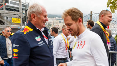 Helmut Marko i glatt samspråk med Sebastian Vettel.