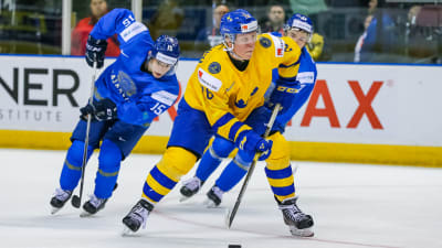 Fabian Zetterlund är en svensk ishockeyspelare.