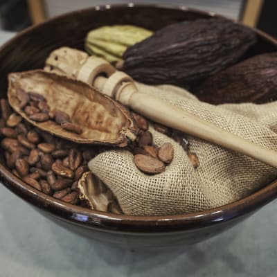Kulho, jossa kaakaopapuja, juuttikangasta ja puukauha. 