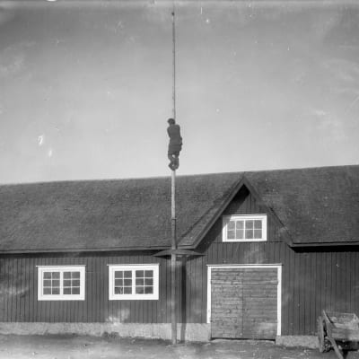 En man har klättrat upp i en flaggstång. Bilden är tagen 1931 i Närpes, Näsby.
