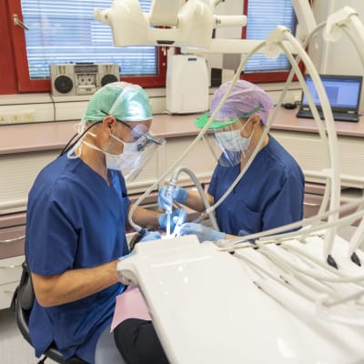 Två tandläkare undersöker en patients tänder.Tandläkarna har munskydd och visir framför ansiktet.