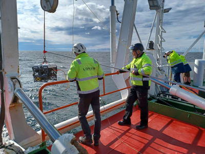 Män på däck sänker ner apparat från forskningsfartyg ute till havs. 
