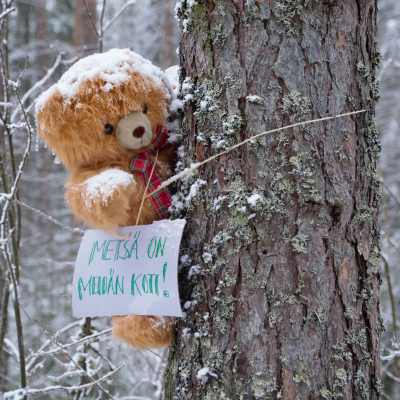 Mjukisdjur nallebjörn i ett träd med skylt på vintern.