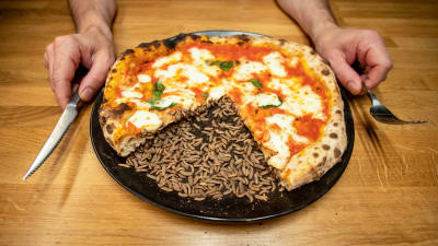 Lautasella pizza ja sitä syöviä hyöntesiä, ihmisen kädet lautasen vierellä.