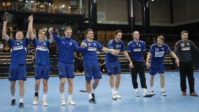 Finlands handbollsherrar firar seger.