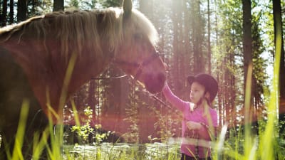 en liten flicka, en häst och en solig dag i skogen