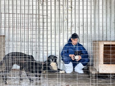 Kuvaaja istuu kahden koiran kanssa romanialaisen koiratarhan häkissä kamera kädessään.