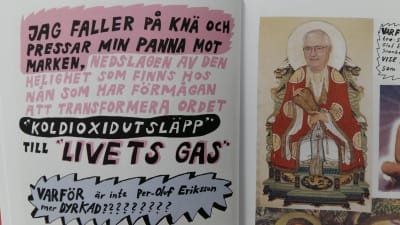 liv strömquists serier