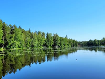 En sjö med skog runt vattenbrynet.
