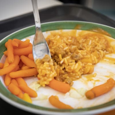 Kanakastiketta, riisiä ja porkkanoita lautasella.