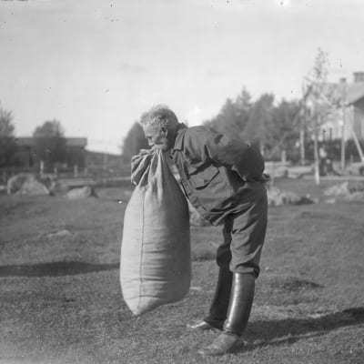 En man lyfter en stor tung säck med bara sina tänder. Bilden är tagen 1931 i Närpes, Kalaks.