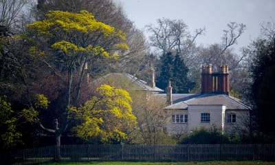 Frogmore Cottage bakom träd och ett stängsel.