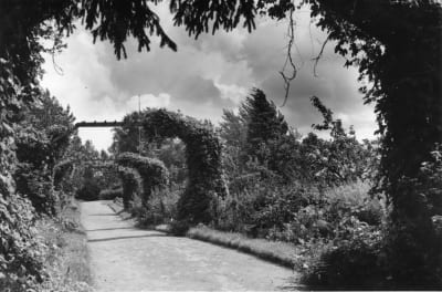 Vanha mustavalkovalokuva Hörtsänän arboretumista Orivedellä, kuvassa käytävä, jossa portteja, joissa kasvaa köynnöskasveja. Kuva vuodelta 1937.
