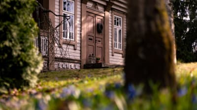 Ett brunt trähus med liten stentrappa och krans på dörren. Framför huset finns en gård med bommande blå scillor. 