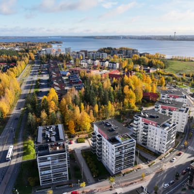 Kerrostalojen kattoja Näsijärven edustalla