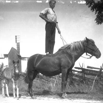En man står på en hästrygg. Bilden är tagen 1930 i Jomala, Åland.